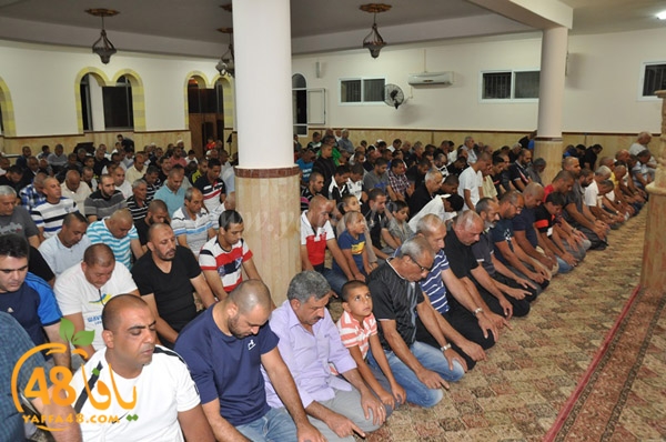 tarawee7 3ajamiwj (19).JPG